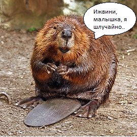 Женщине повезло