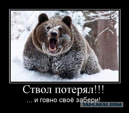 "Корд" в гражданском обороте