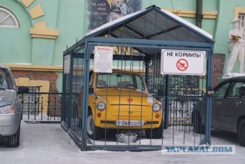Подборка интересных и веселых картинок