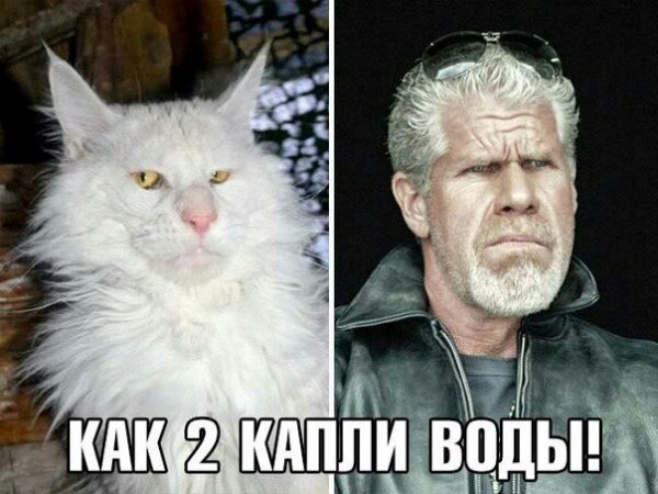 Нестандартный юмор