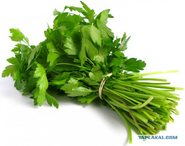 Deep Purple-50 лет