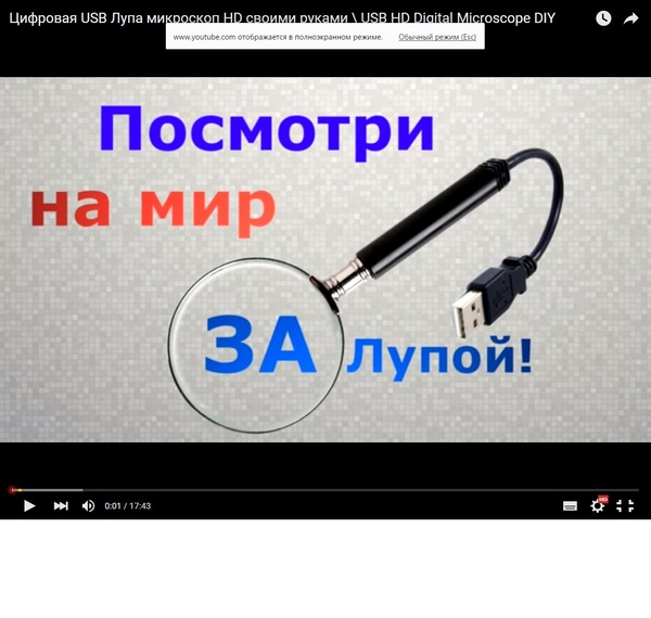 "Ненавижу детей": в России набирает обороты страшное движение