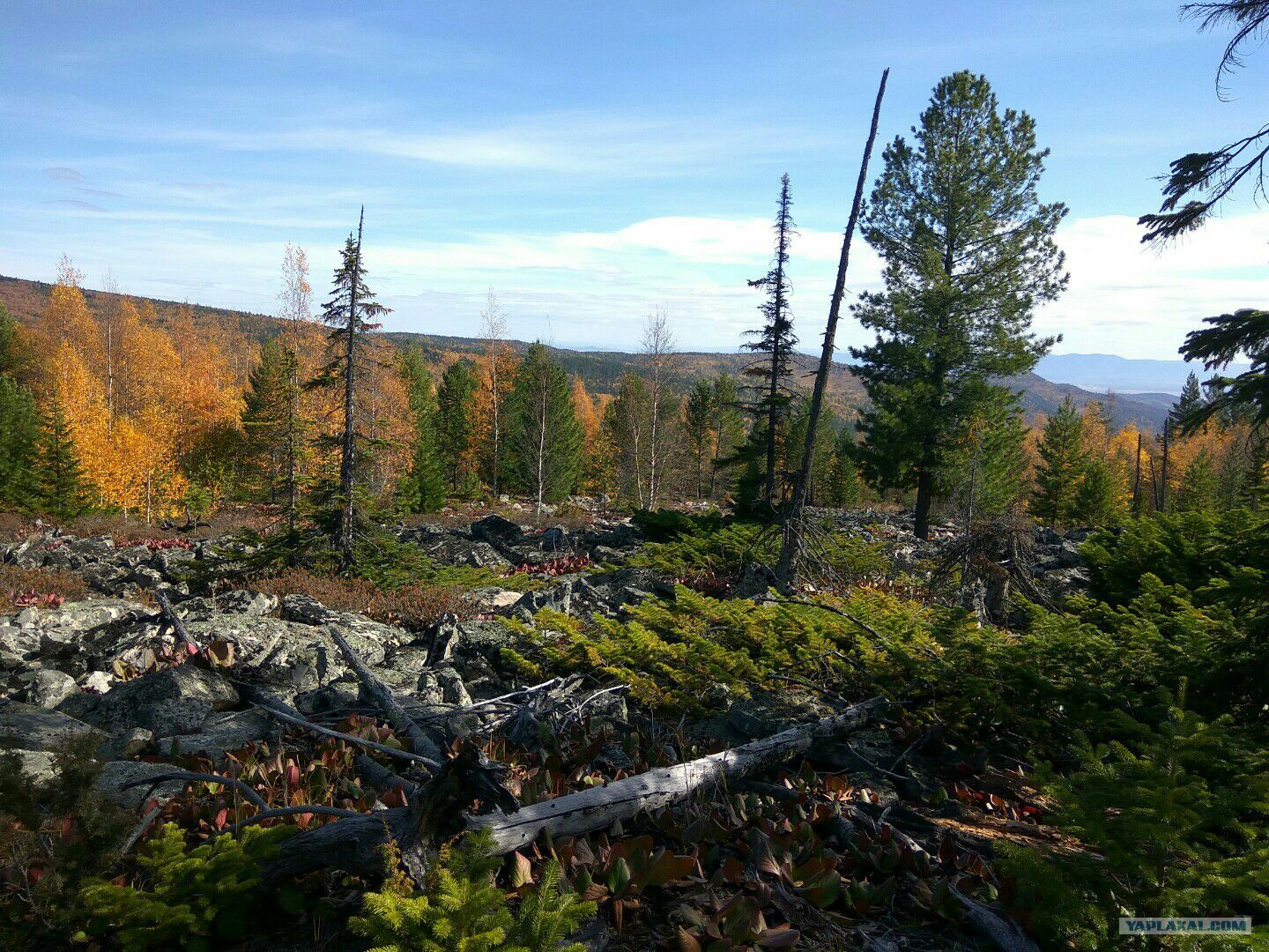 соболиные озера на байкале. тункинские саяны. горный алтай тайга сибирь. таежная бурятия. тайга тункинский район.