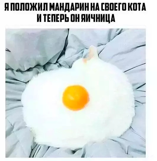 Когда тебе плевать на всё