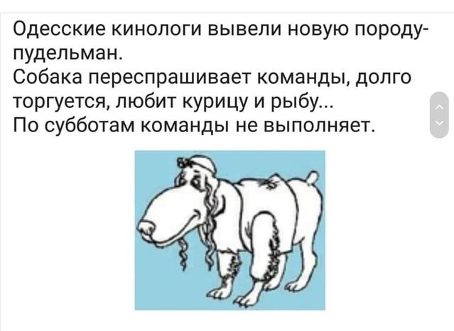 Нестандартный юмор
