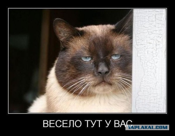 Па-ма-ги-те!
