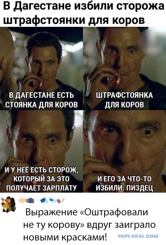 Очень странные картинки. Простите, мы даже объяснить не можем