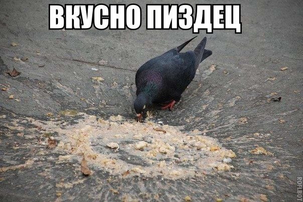 Иркутский чиновник полакомился вещдоком после задержания прямо при сотрудниках Следственного комитета