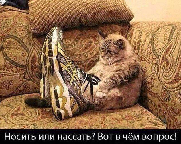 Бредзона 25.03.2020