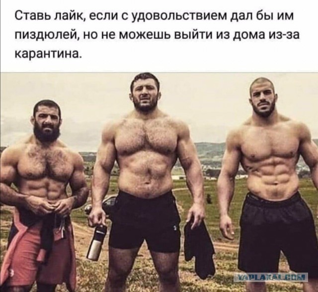 Картинки из рабочего чата 06.04.