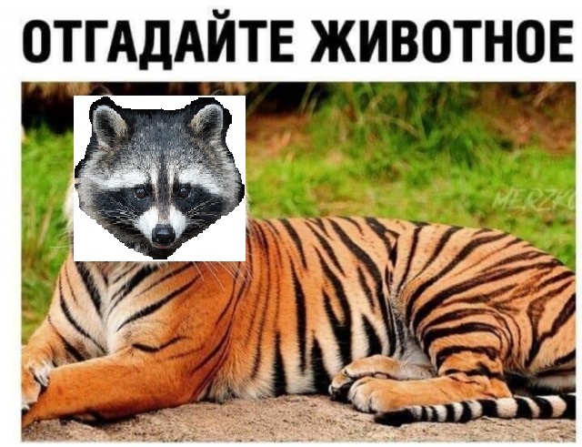 Бредзона 15.04.2020