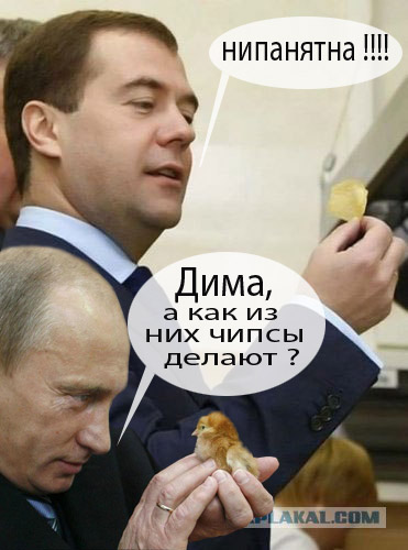 Президент тоже любит чипсы