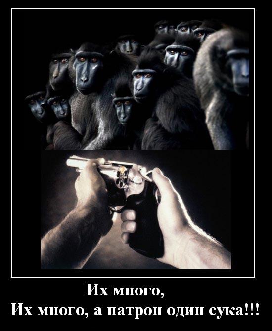 Демотиватор от меня
