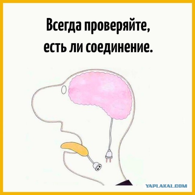 Ходят слухи, шо Лёха запутался в собственном вранье