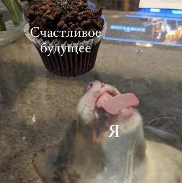 Бредзона 20.10.2020