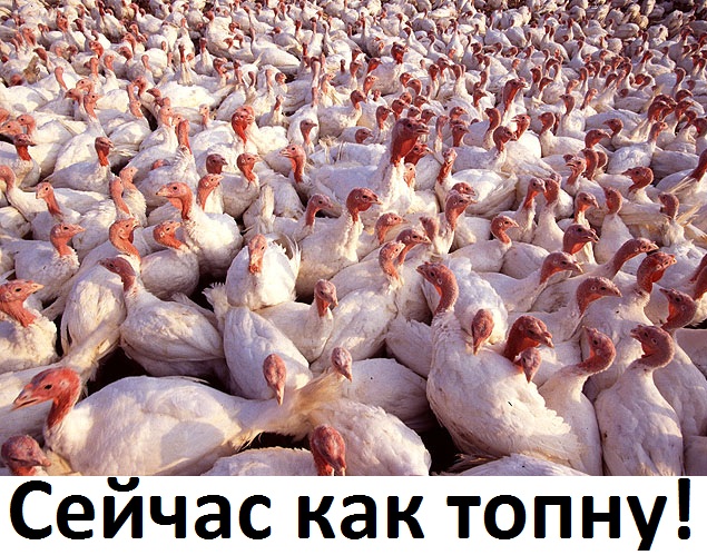 Фотожаба: А ты?
