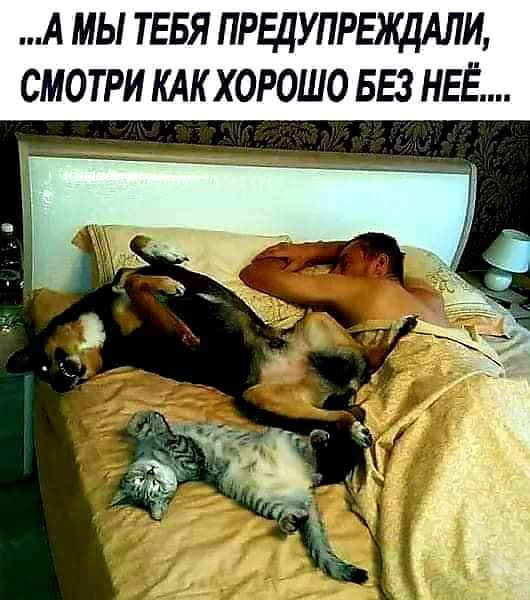 Когда стоит паниковать