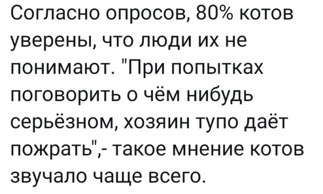 Наташа, вставай!