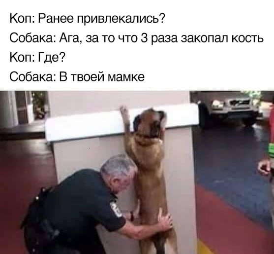 Чернушка 26.12.20