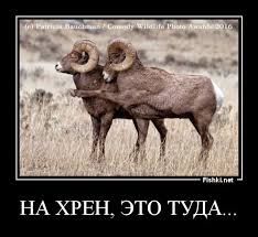 Бредзона 02.01.21
