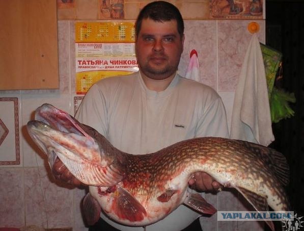 Вот такая зимняя рыбалка