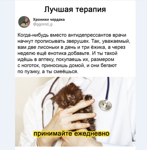 Картинки и мемы для настроения