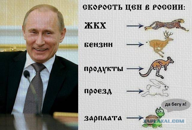 Росстат зафиксировал снижение уровня бедности