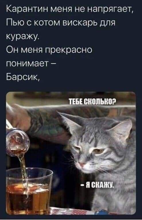Алкопост выходного дня