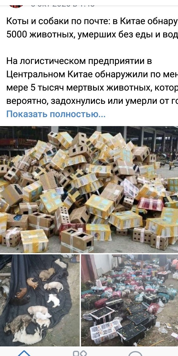 Маня-облигация