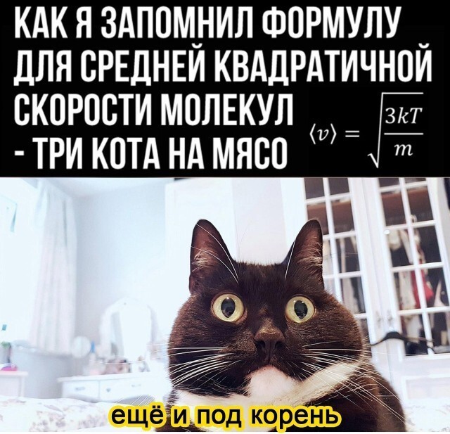 Картинки и мемы, начало праздников