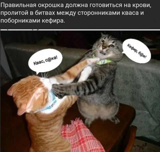 Картинки, приколы, мемы на выходные