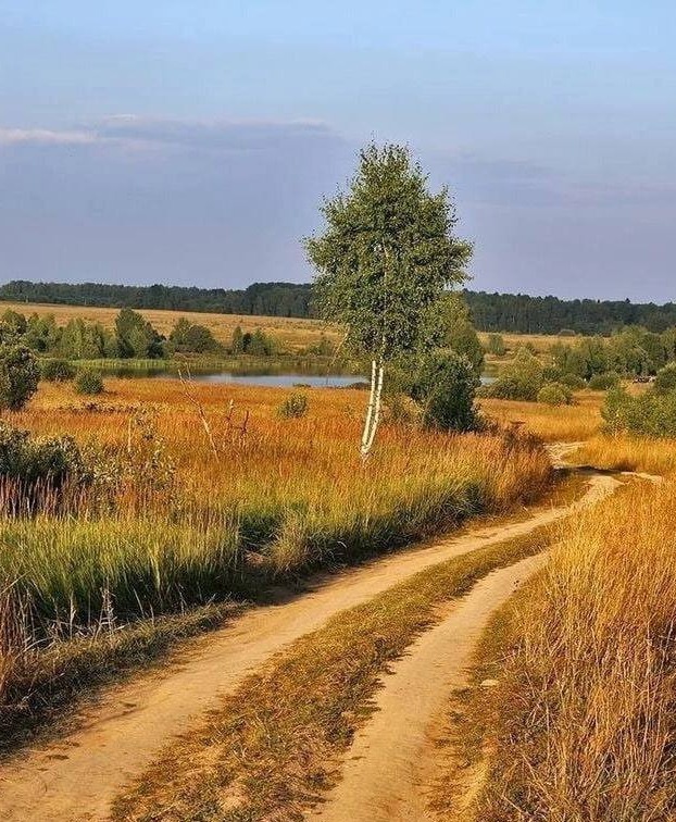 Вот моя деревня-1