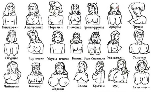 Мужики, предлагаю определится какой всё же?