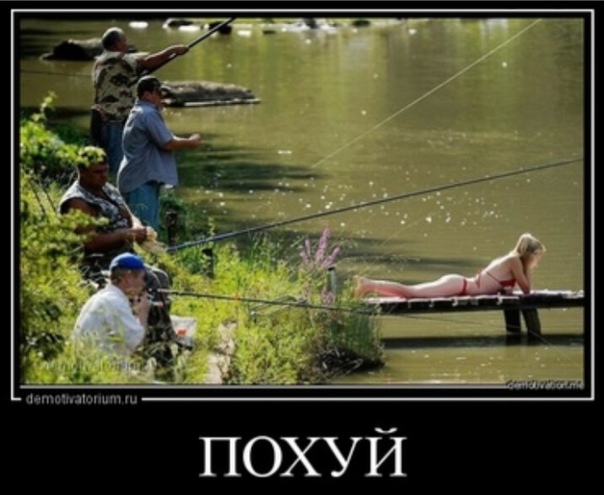 Весёлый полтишок 08.06.2022