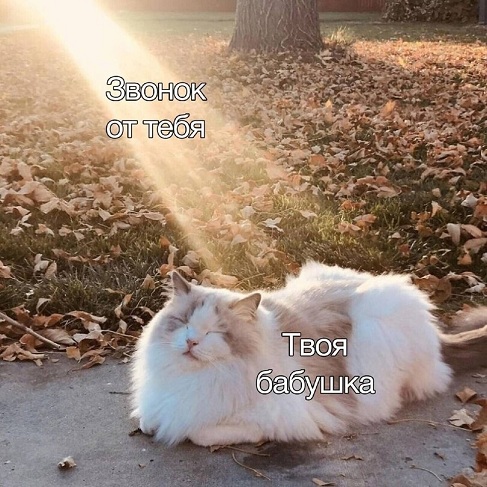 Подобное я уже видел, боян!