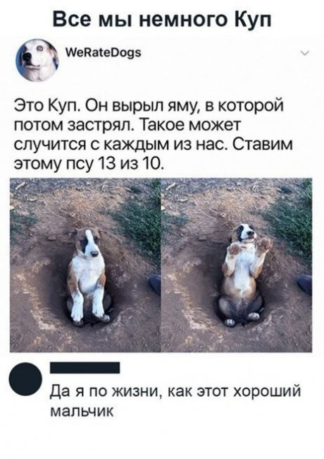 Скриншоты и комментарии из социальных сетей 16.09.22