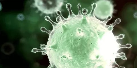 Пандемия съехавших крыш - разновидности болезни. Россия и мир. Часть 42.