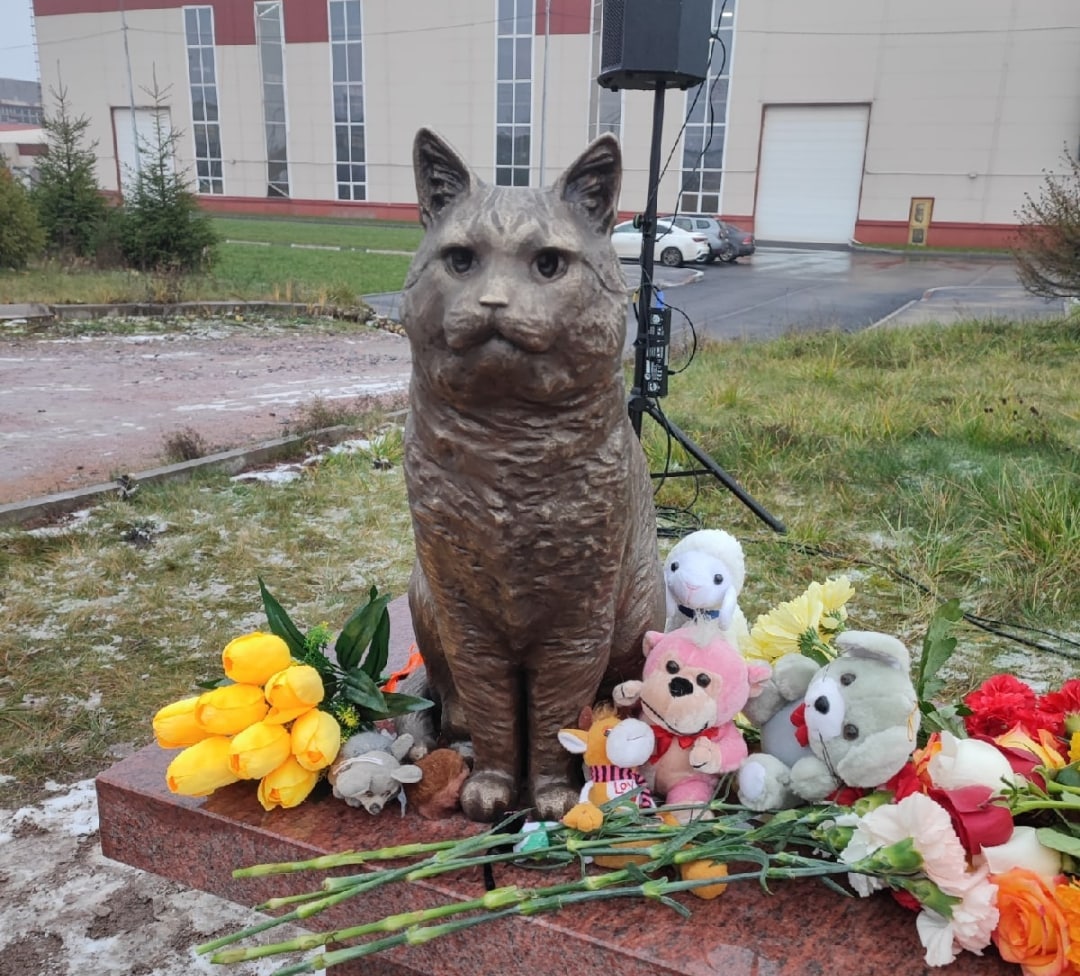 В Петербурге установили памятник коту Кузе, погибшему от рук живодёров. -  ЯПлакалъ