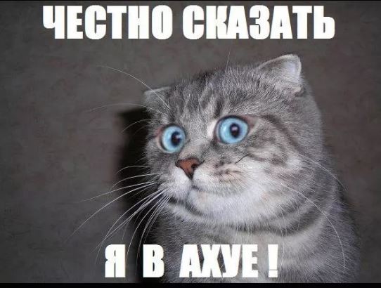 Победная поступь идиотизма по планете – том 5