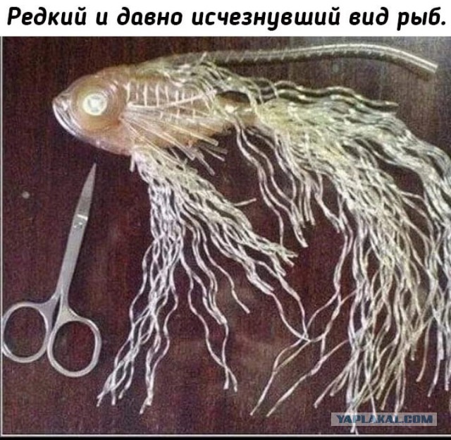 Так себе картинки 26.01.23