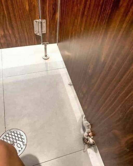 Подборка интересных и прикольных фото из Сети 01.04.23