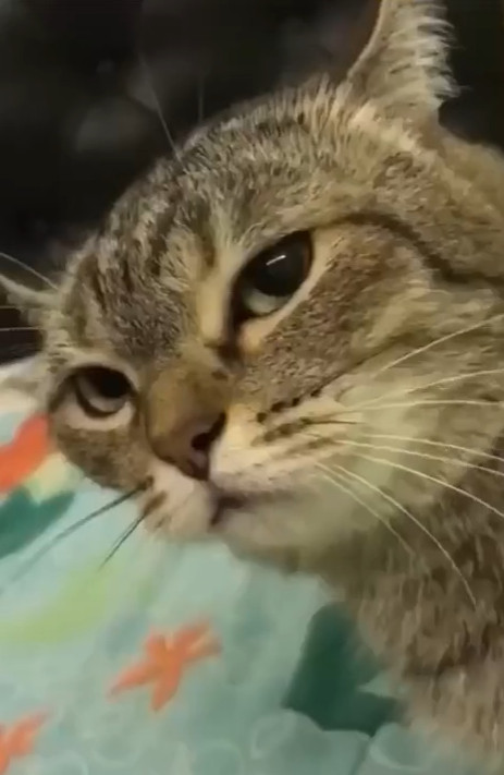 Вот докопался