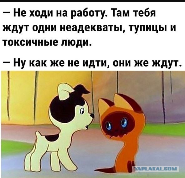 Улыбательные картинки...