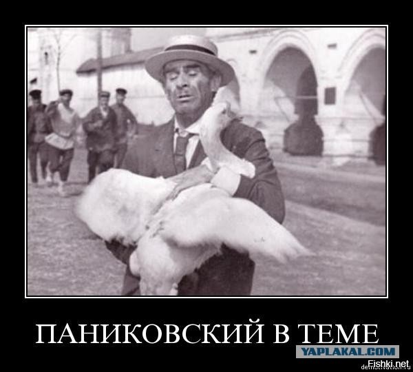 Дополнение к посту про гусей. Не зашло мне то, что написала в телефоне, решила развернуть тему