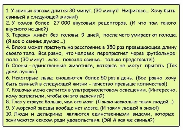 Подборка забавных, интересных, нужных и не особо фактов