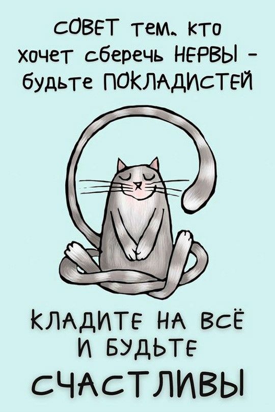 Прикольные и просто красивые картинки 01.11.2024