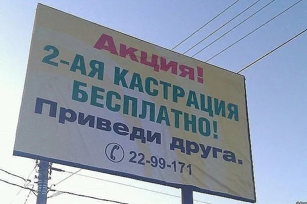 19541528.jpg