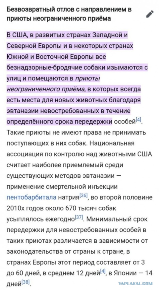 Собаки хороших людей не кусают, любят когда их гладят, и машут хвостиком