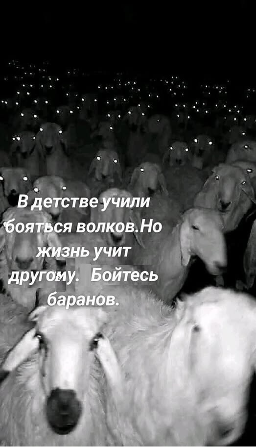 Картинки разные с надписями и без