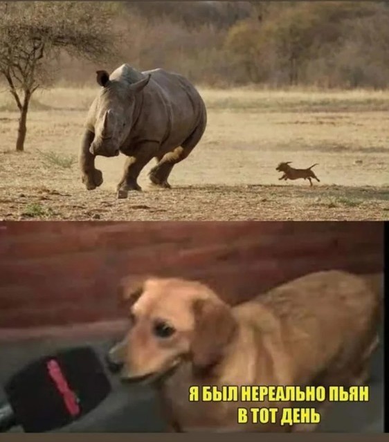 Маршрут перестроен